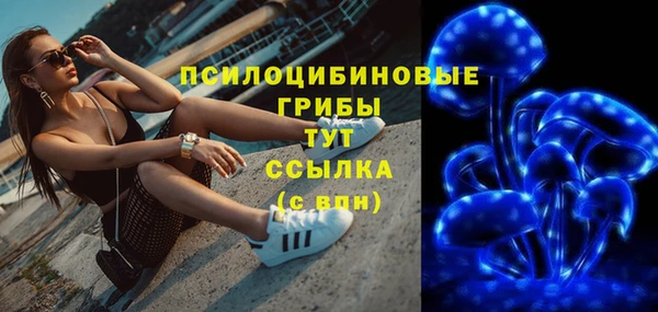 2c-b Верея