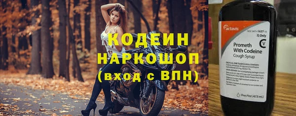 молекула духа Верхний Тагил